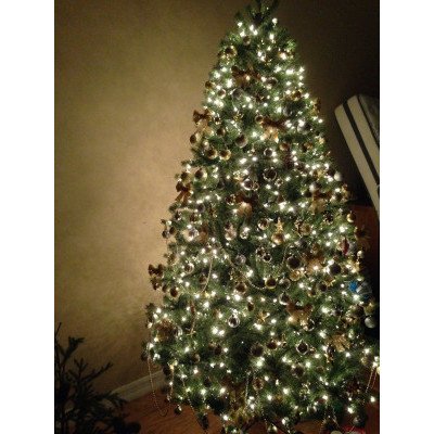 하루 지나긴 했지만..~ 트리..~!