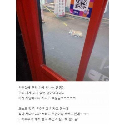 고기집 앞에서 주인과 싸운 강아지 ㅋㅋㅋㅋ